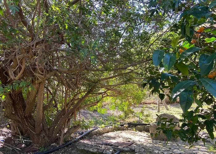 The Ancient Sicilian House Near Zingaro Reserve Scopello